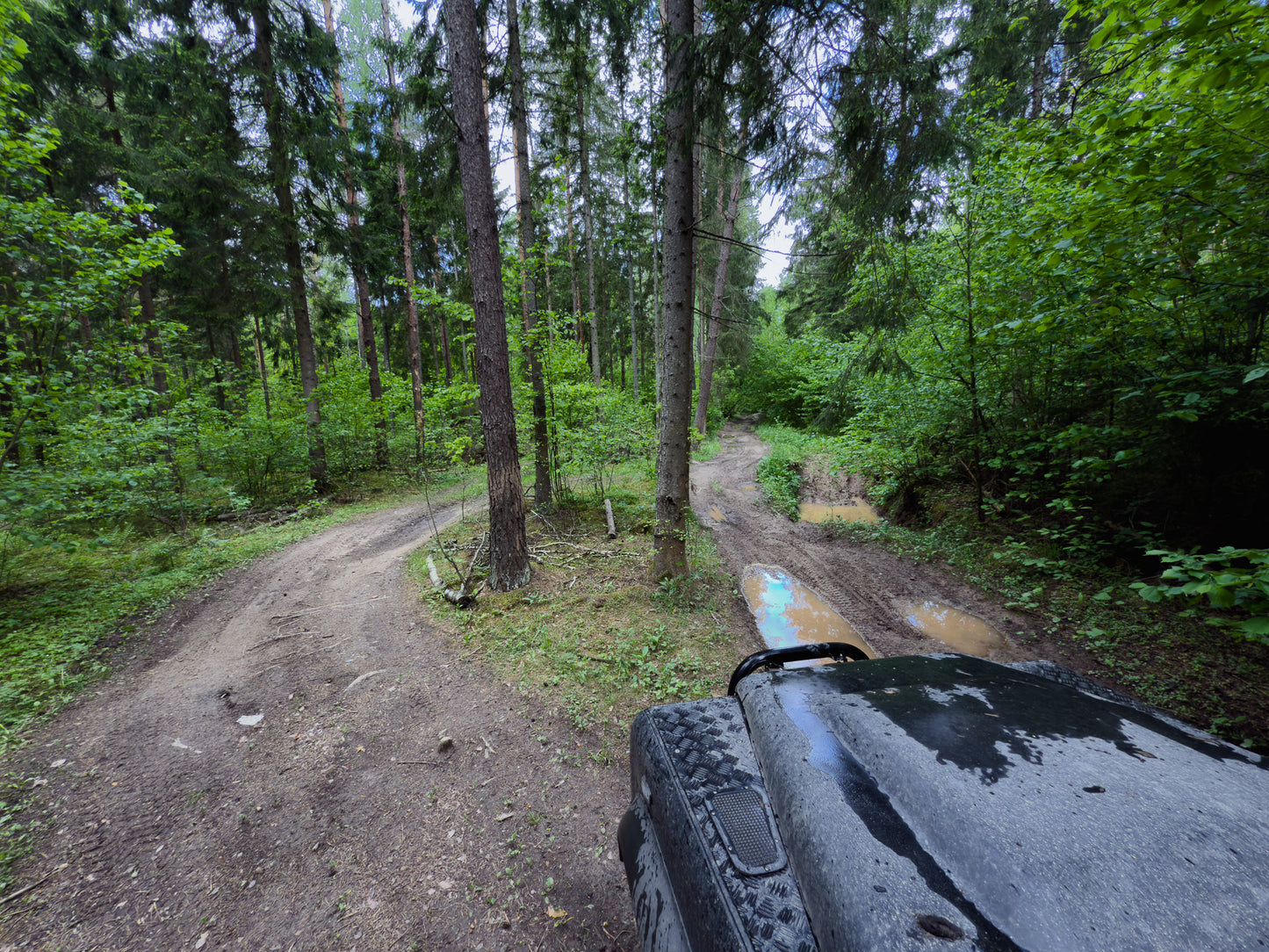 СЧАСТЛИВЫЙ КОНЕЦ (16 км)