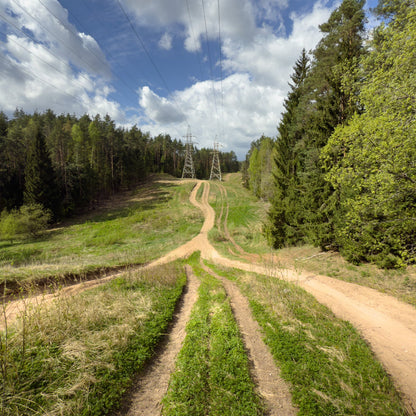 NEPALIKUS VILNIAUS (3km)
