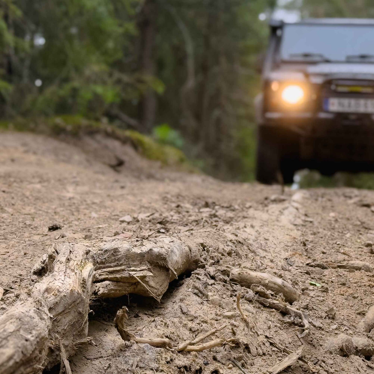 Bekelės nuotykis: Mažeikiai – Balžis