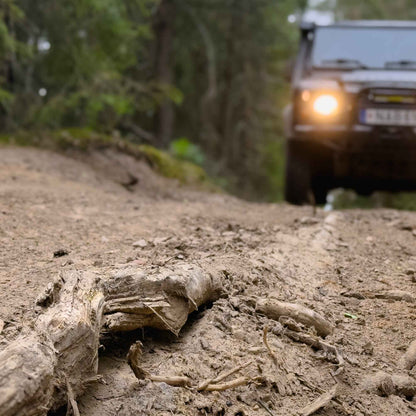 Bekelės nuotykis: Mažeikiai – Balžis