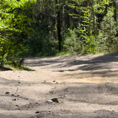 Bekelės nuotykis: Mažeikiai – Balžis