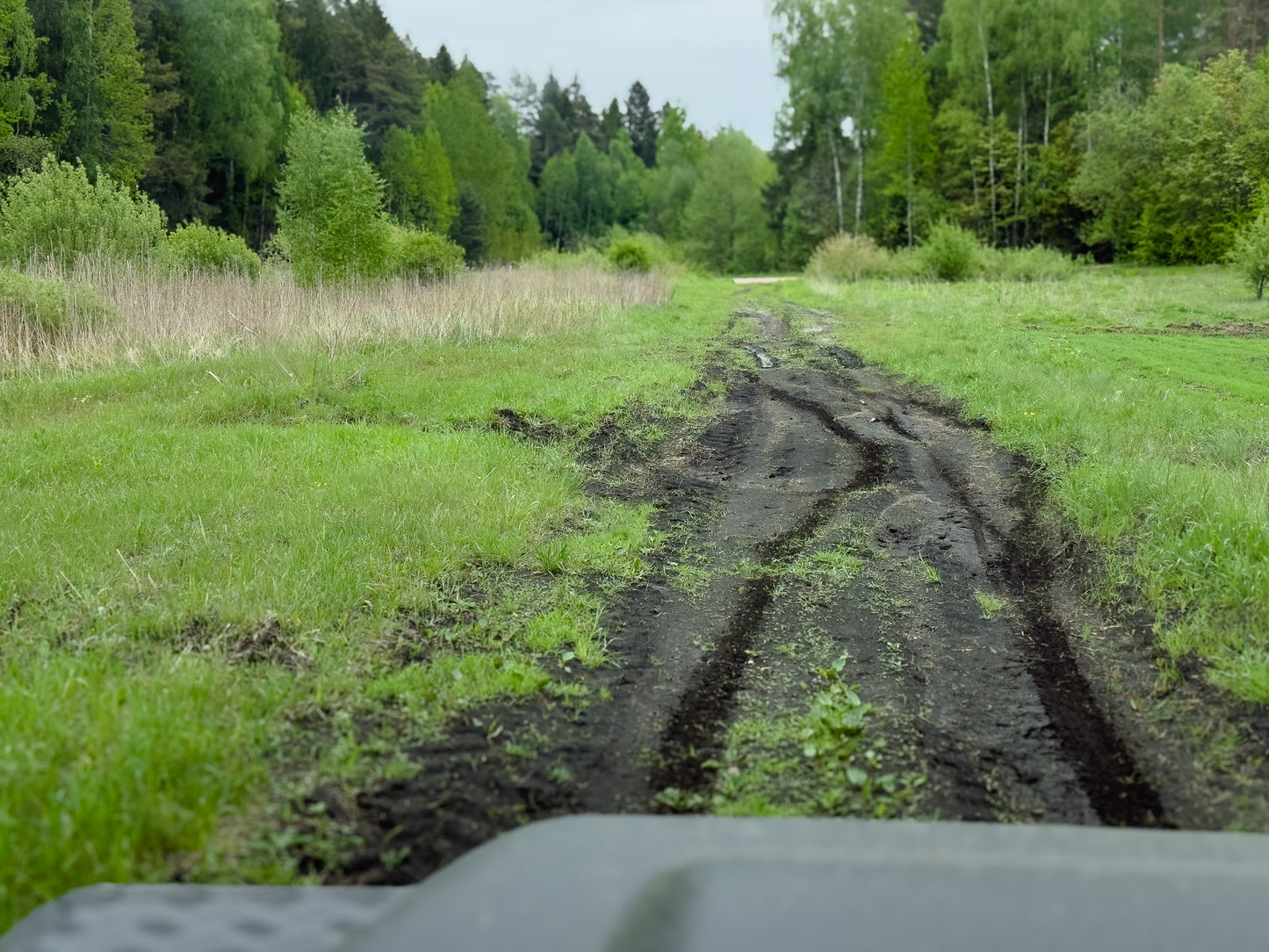 LINK SKAISTYKLOS (16km)