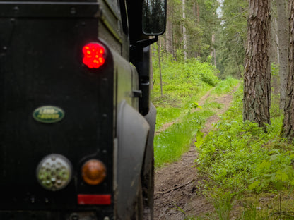 LINK SKAISTYKLOS (16km)