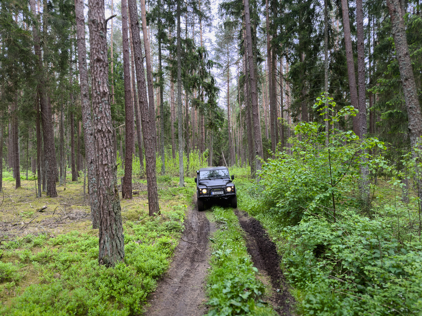 LINK SKAISTYKLOS (16km)