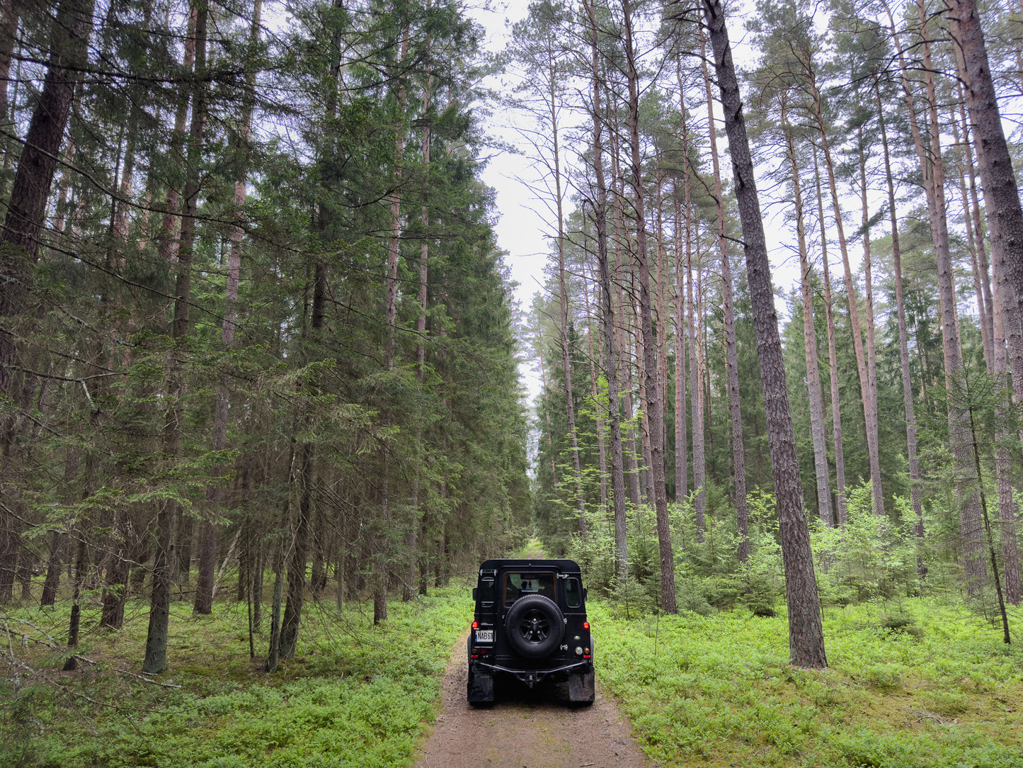 LINK SKAISTYKLOS (16km)