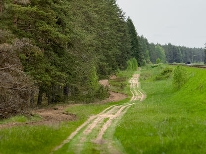 LINK SKAISTYKLOS (16km)