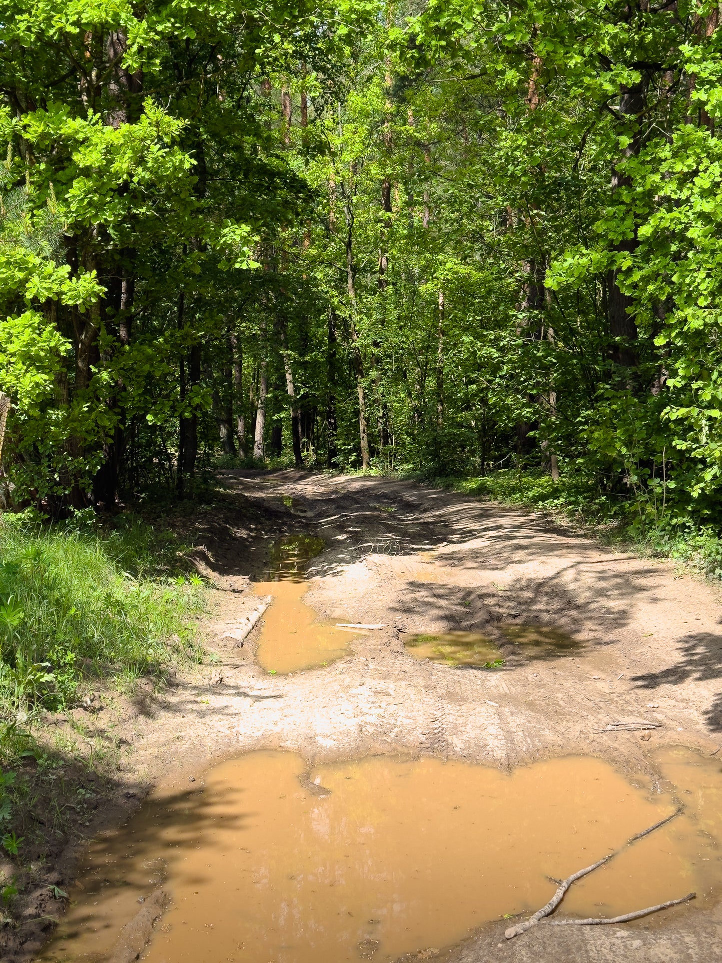 СЧАСТЛИВЫЙ КОНЕЦ (16 км)