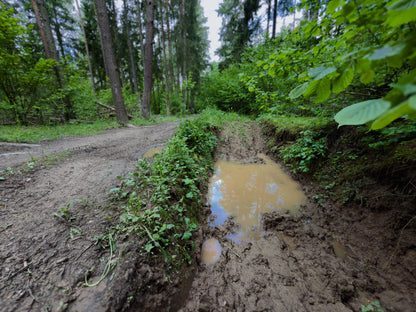 СЧАСТЛИВЫЙ КОНЕЦ (16 км)