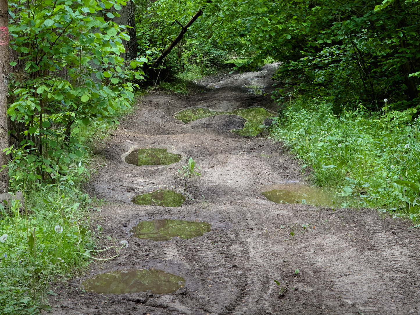 СЧАСТЛИВЫЙ КОНЕЦ (16 км)