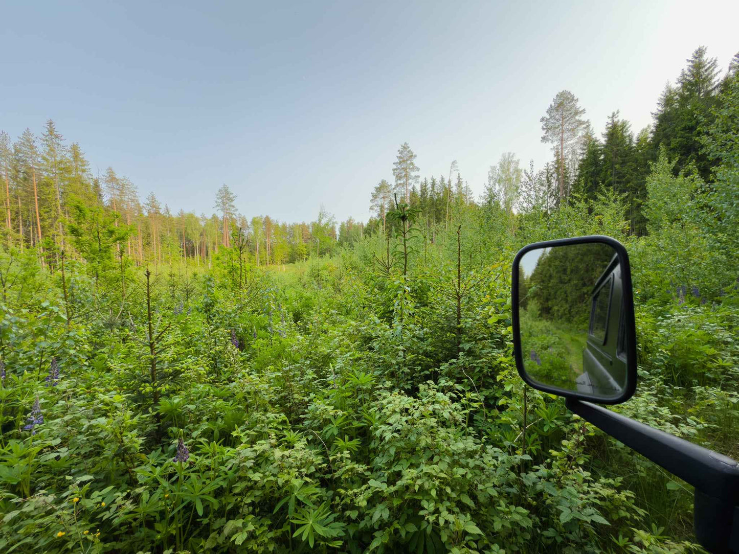 PRATYBOS (ilgis: 50km, Turgeliai)