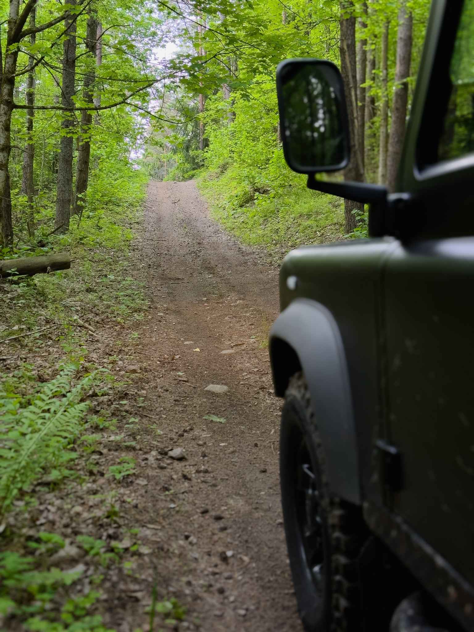 PRATYBOS (ilgis: 50km, Turgeliai)