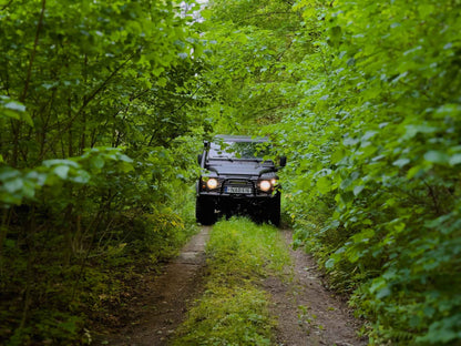 PRATYBOS (ilgis: 50km, Turgeliai)