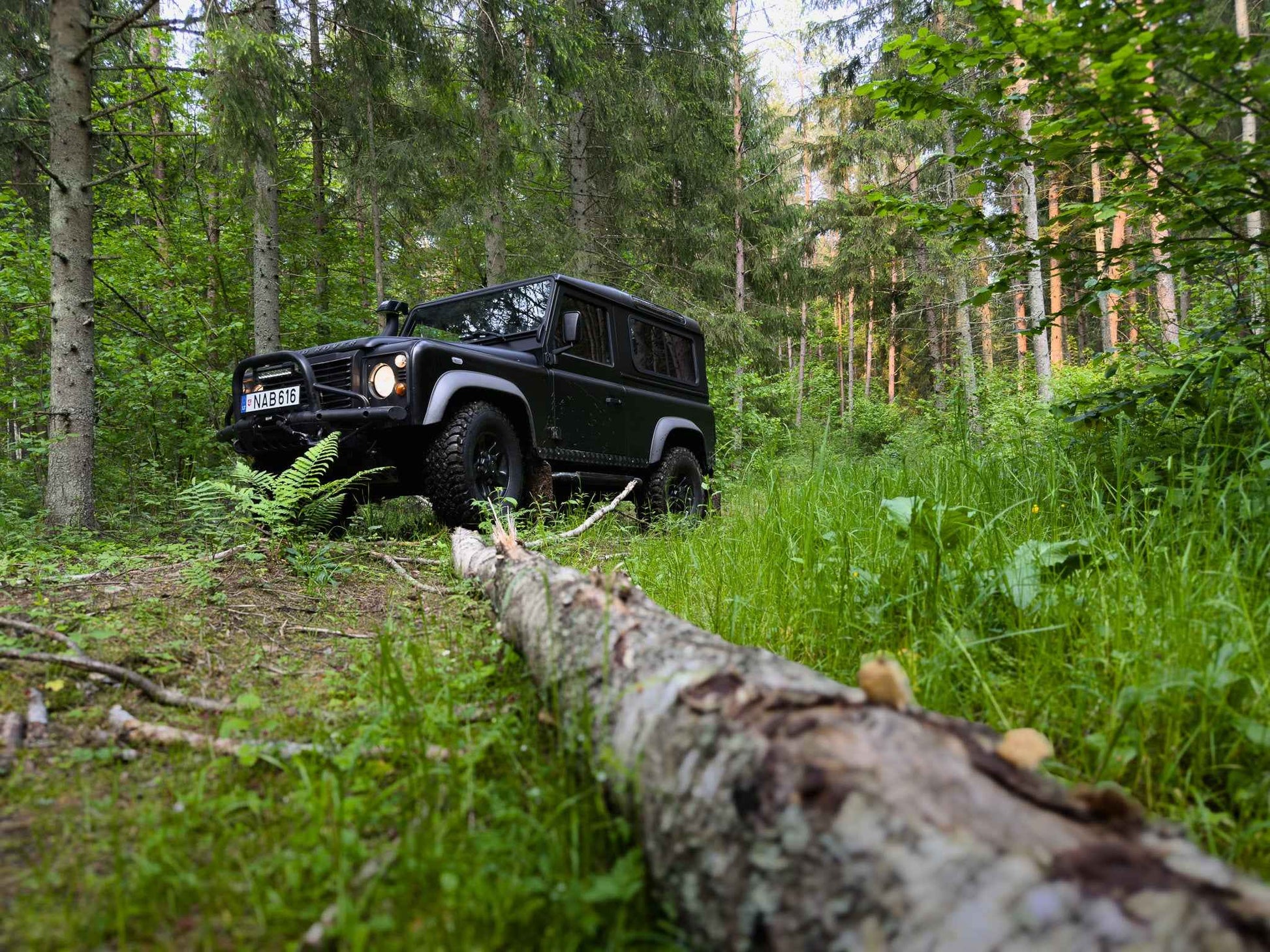 PRATYBOS (ilgis: 50km, Turgeliai)