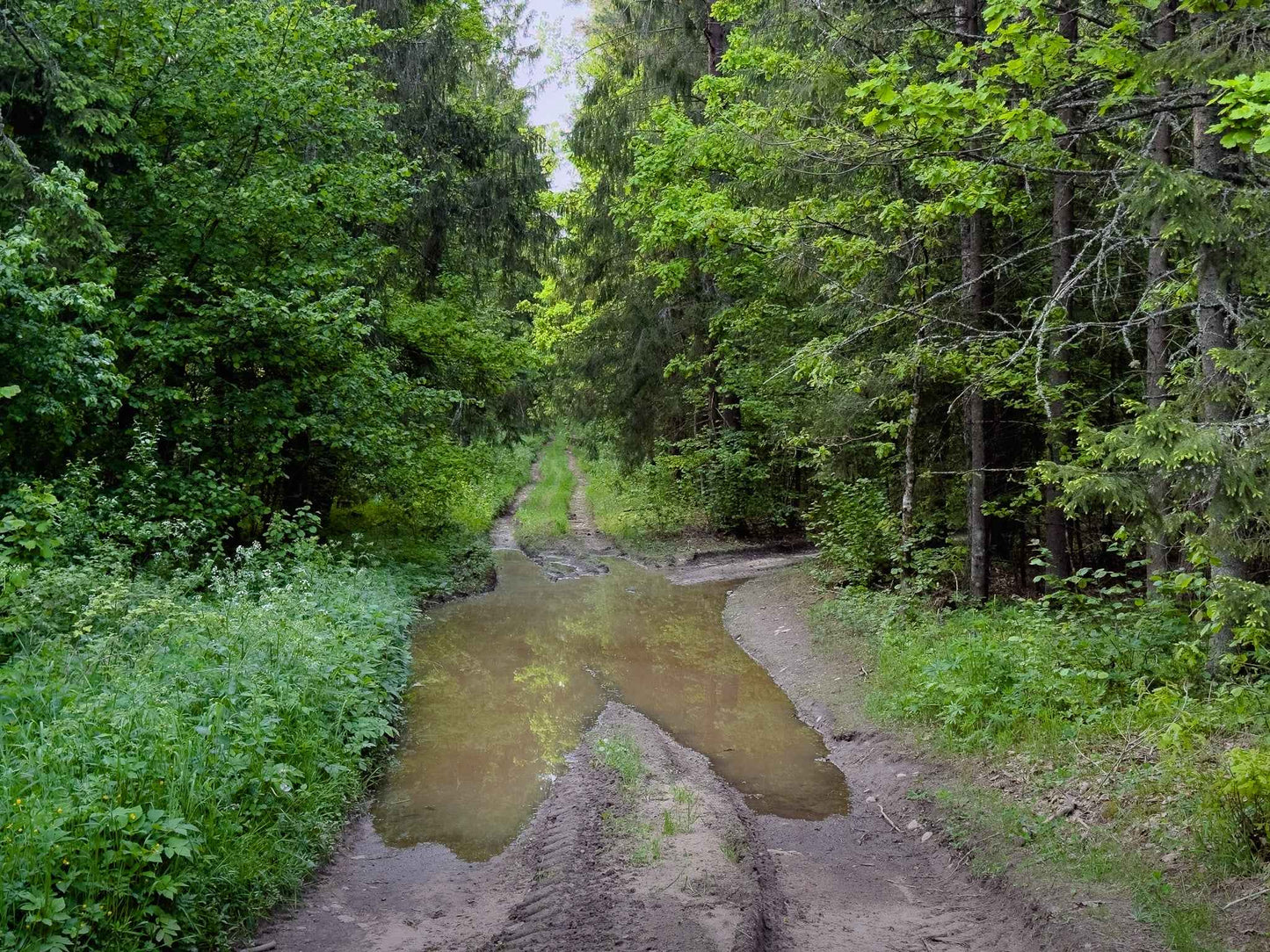 PRATYBOS (ilgis: 50km, Turgeliai)