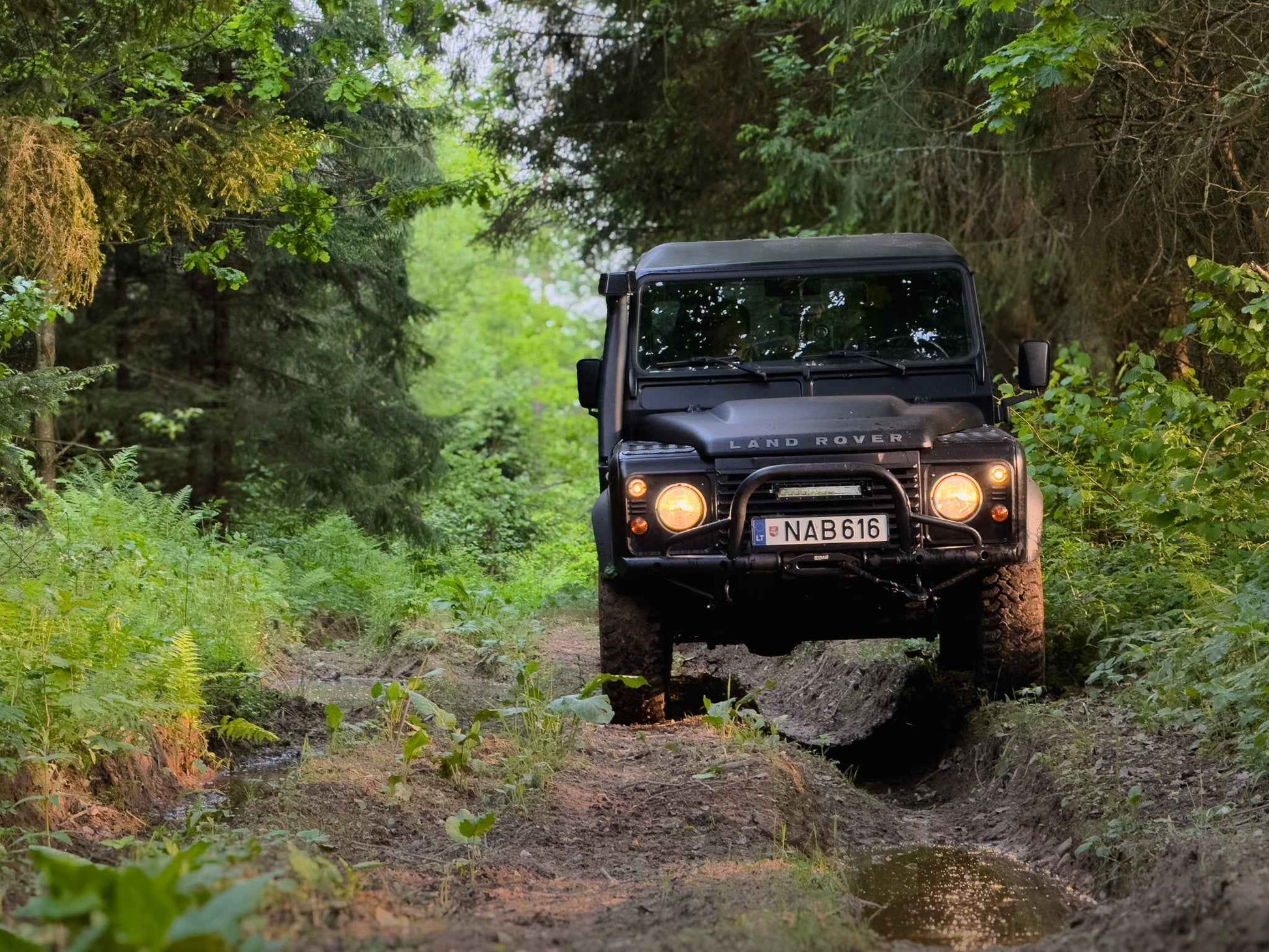 PRATYBOS (ilgis: 50km, Turgeliai)