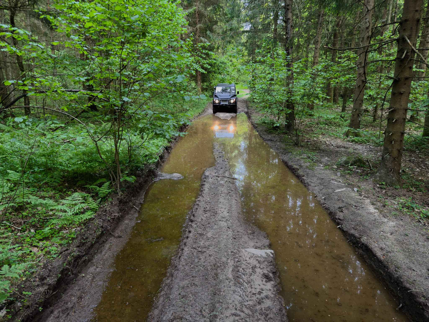 PRATYBOS (ilgis: 50km, Turgeliai)