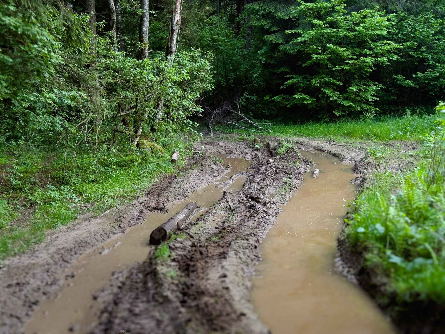 PRATYBOS (ilgis: 50km, Turgeliai)