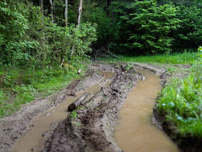 PRATYBOS (ilgis: 50km, Turgeliai)