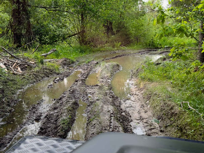 PRATYBOS (ilgis: 50km, Turgeliai)