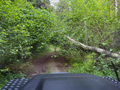 PRATYBOS (ilgis: 50km, Turgeliai)