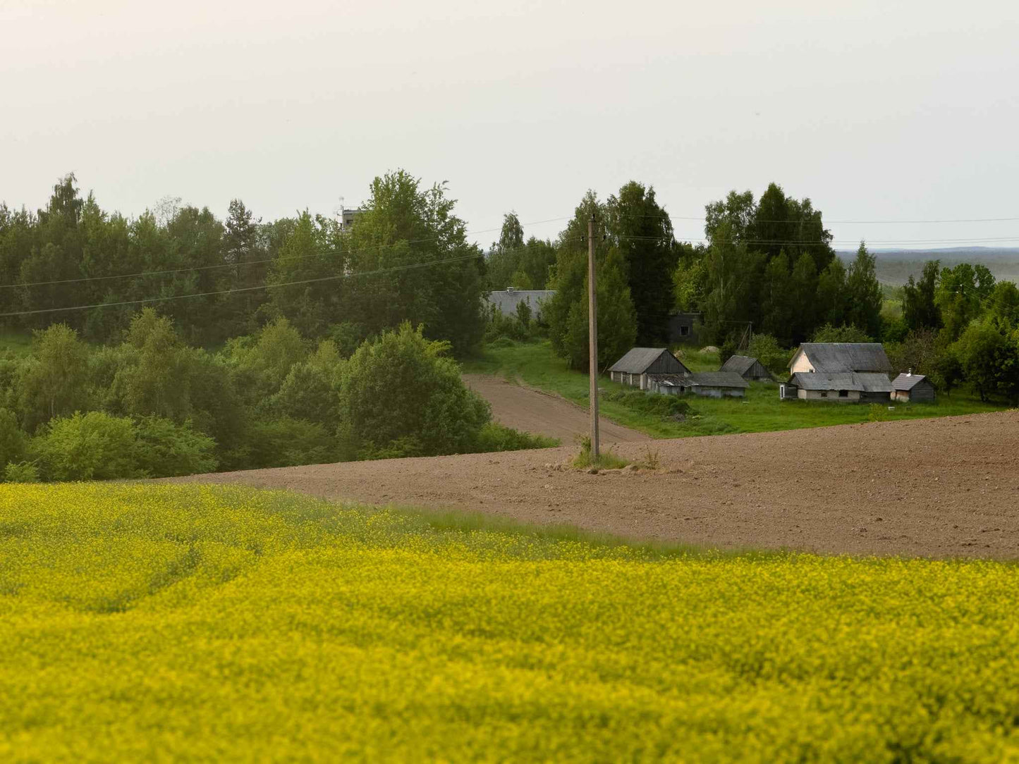 PRATYBOS (ilgis: 50km, Turgeliai)
