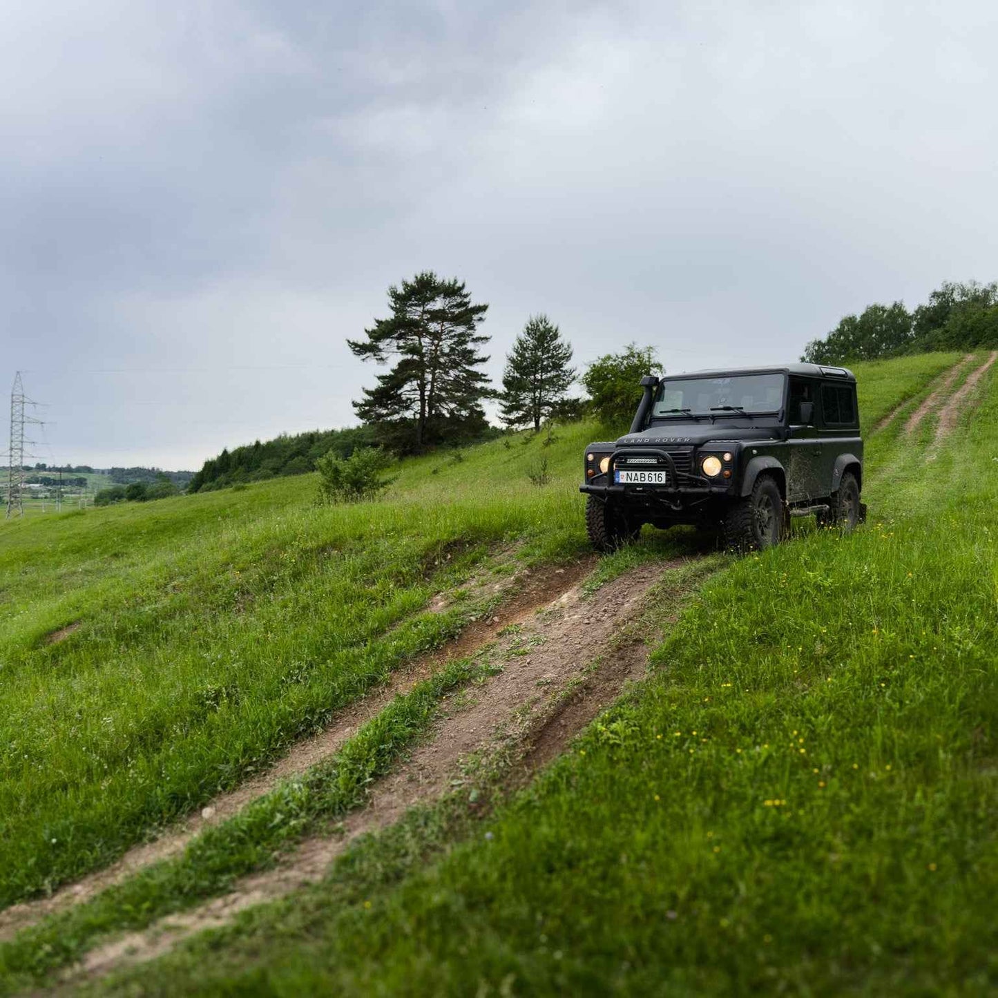 TARP ŽIRGŲ (ilgis: 9km, Riešė)