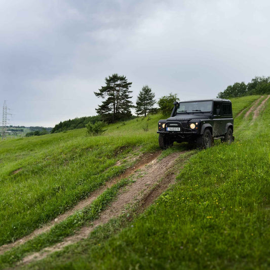 TARP ŽIRGŲ (ilgis: 9km, Riešė)