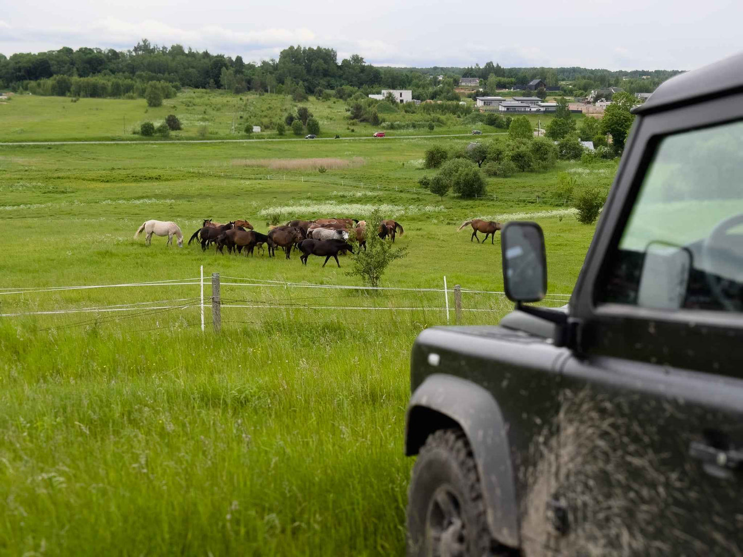 TARP ŽIRGŲ (ilgis: 9km, Riešė)