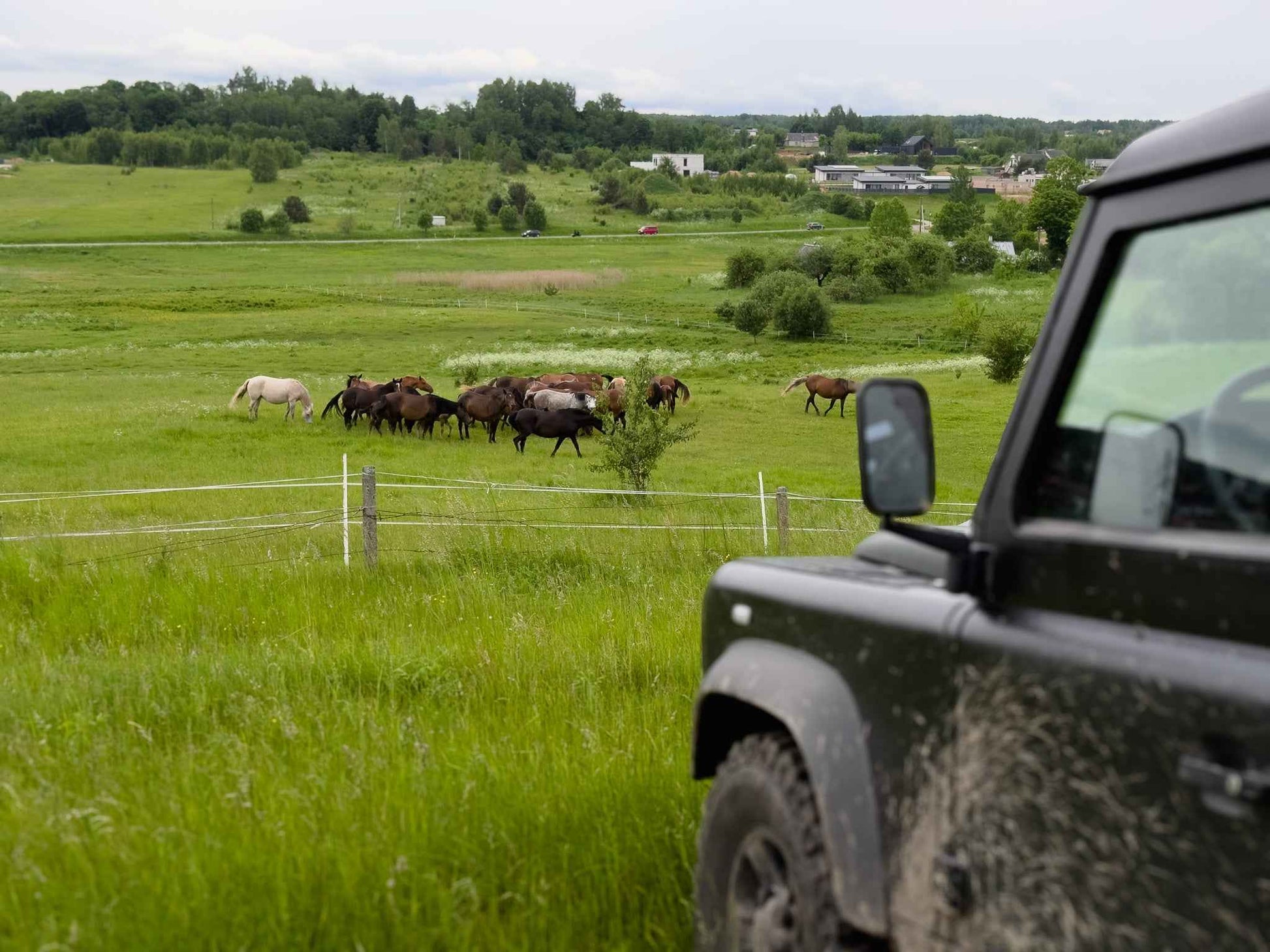 TARP ŽIRGŲ (ilgis: 9km, Riešė)