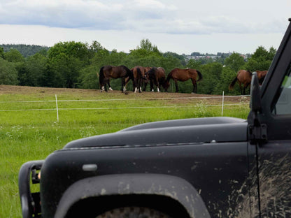 TARP ŽIRGŲ (ilgis: 9km, Riešė)