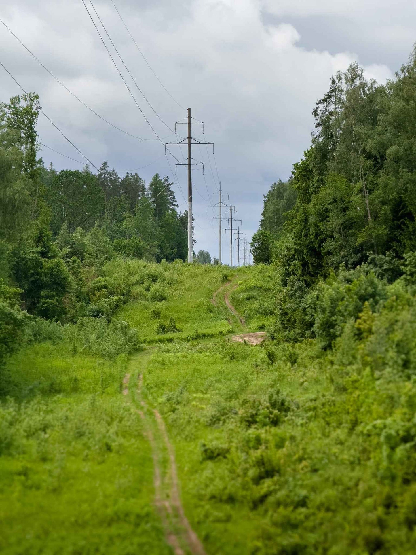 TARP EŽERŲ (ilgis: 4km, Aukštaitija)
