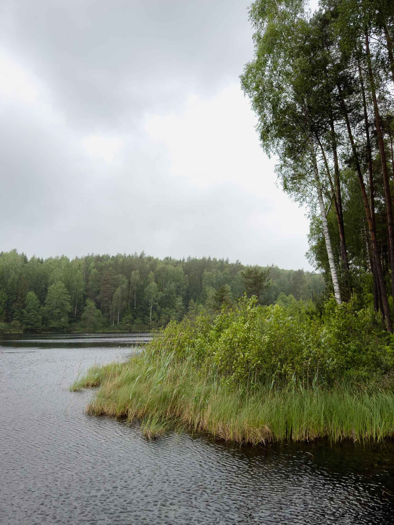 TARP EŽERŲ (ilgis: 4km, Aukštaitija)