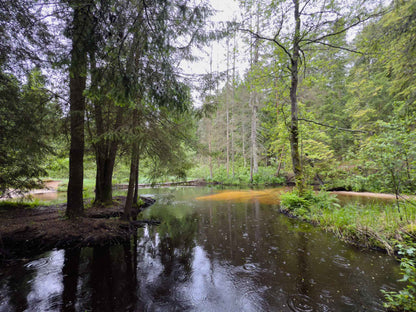 BRASTA (ilgis: 11km, Mickūnai)