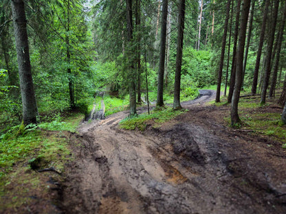 BRASTA (ilgis: 11km, Mickūnai)