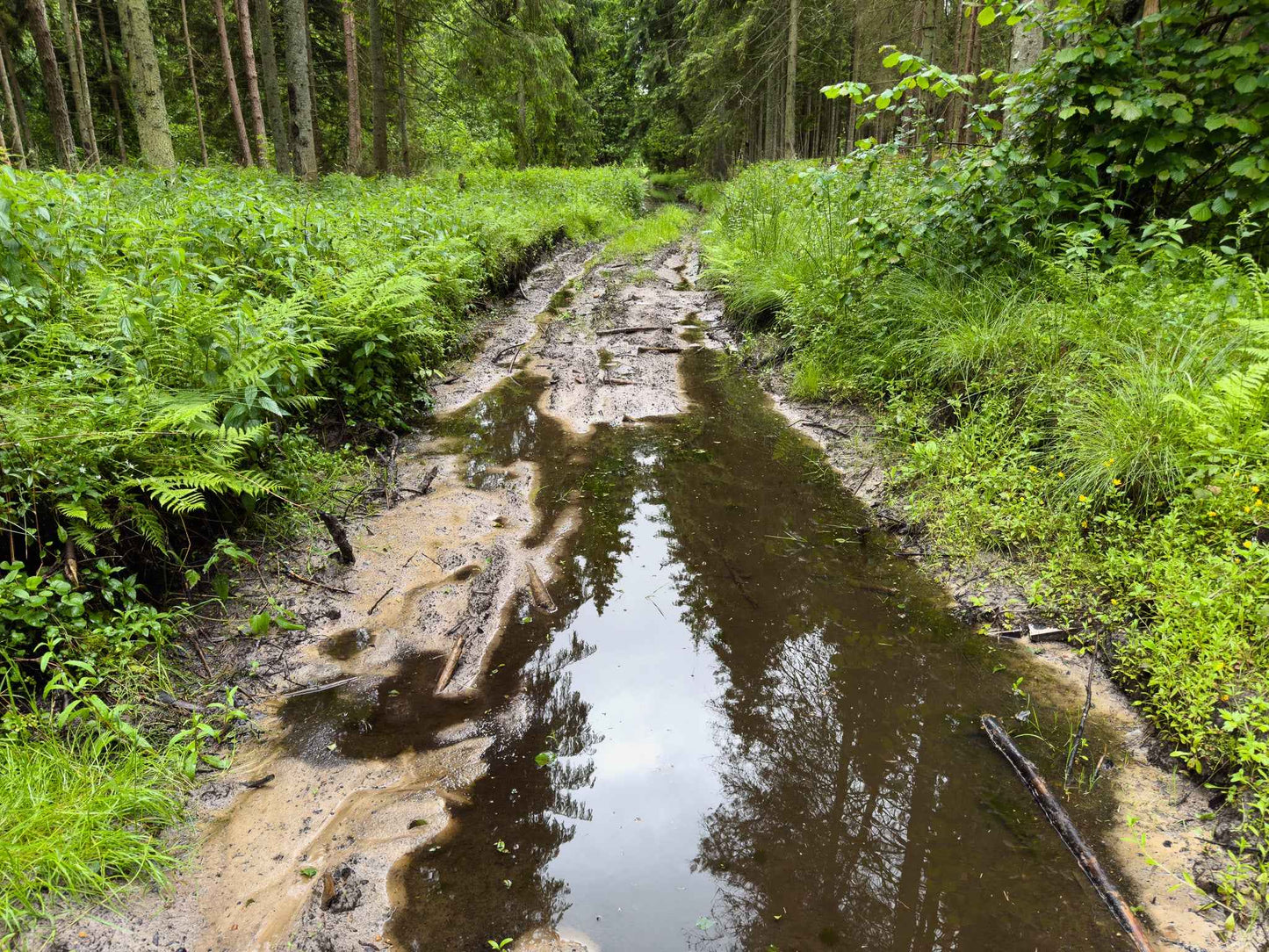 BRASTA (ilgis: 11km, Mickūnai)