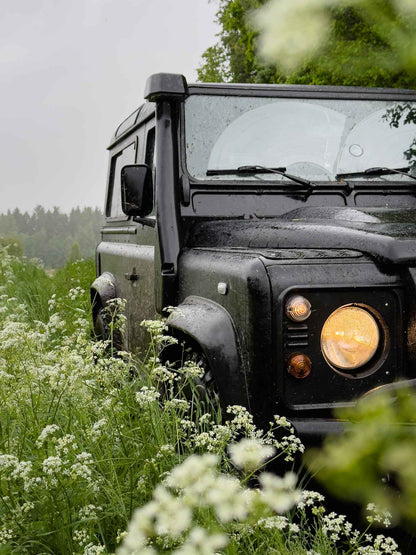 BRASTA (ilgis: 11km, Mickūnai)