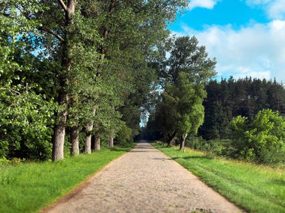 PRAŽŪTINGAS SKARDIS (6km)