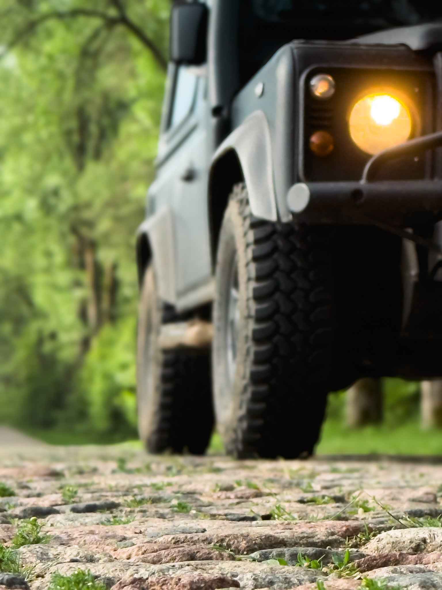 PRAŽŪTINGAS SKARDIS (6km)