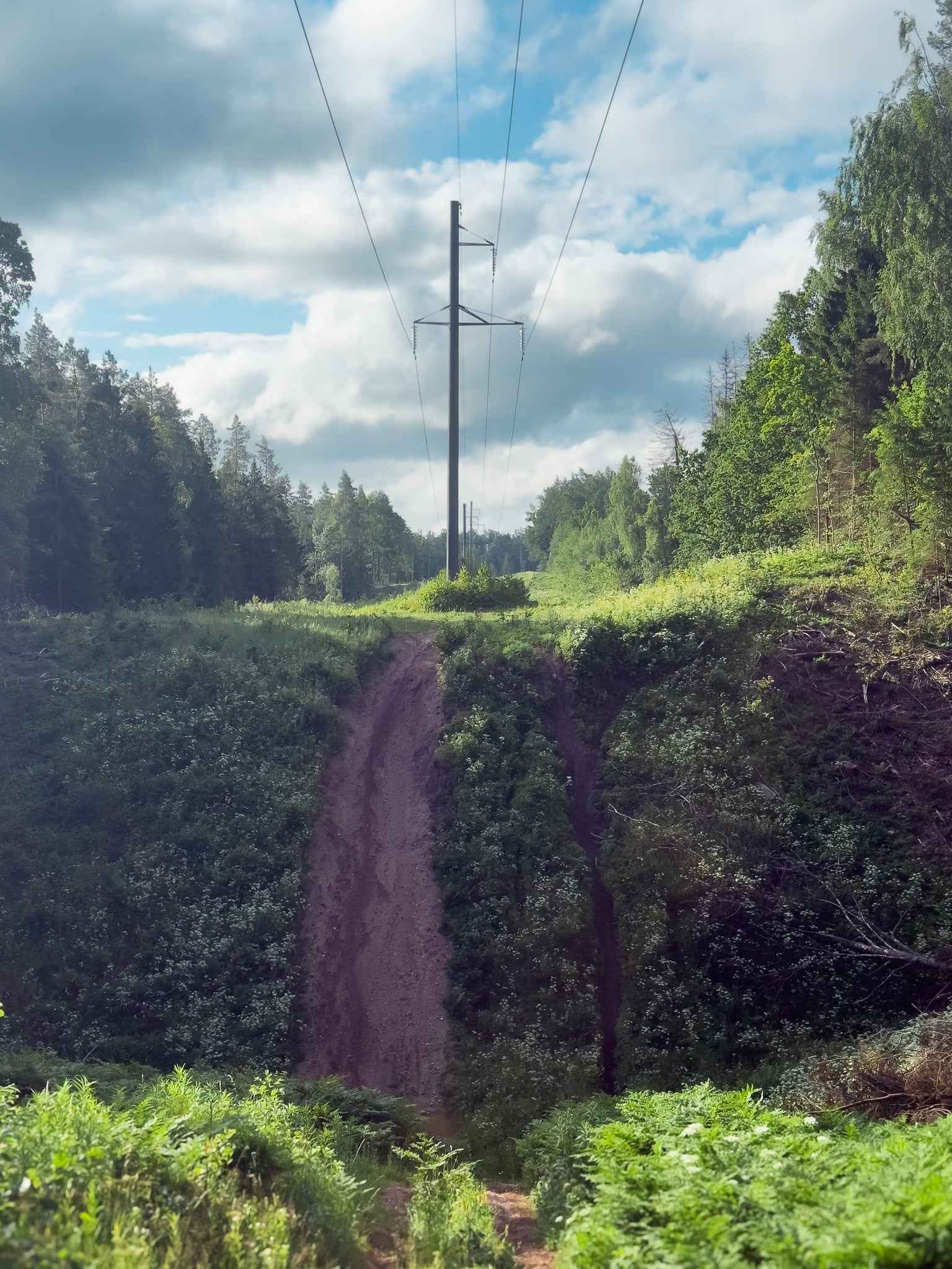 PRAŽŪTINGAS SKARDIS (6km)