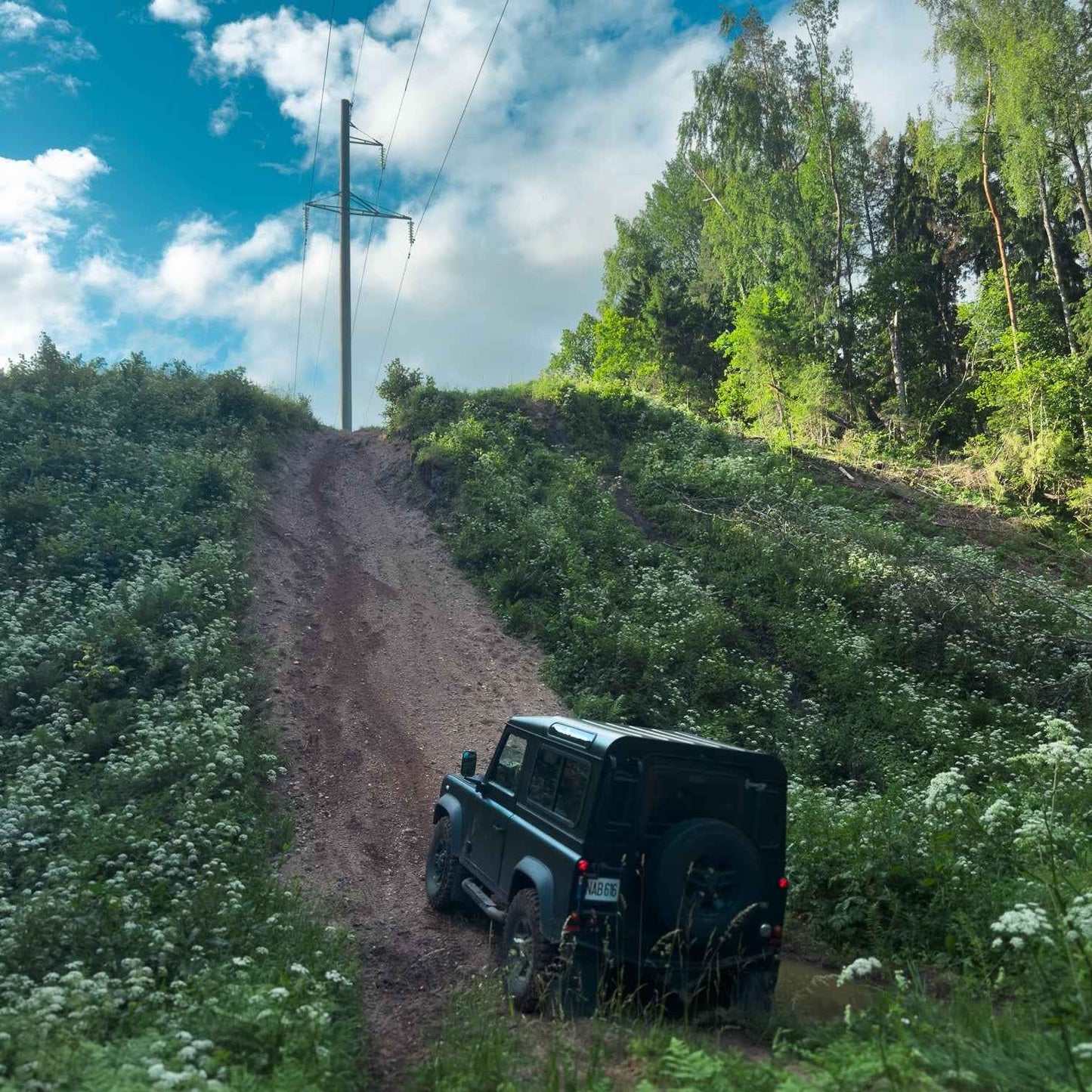 PRAŽŪTINGAS SKARDIS (6km)