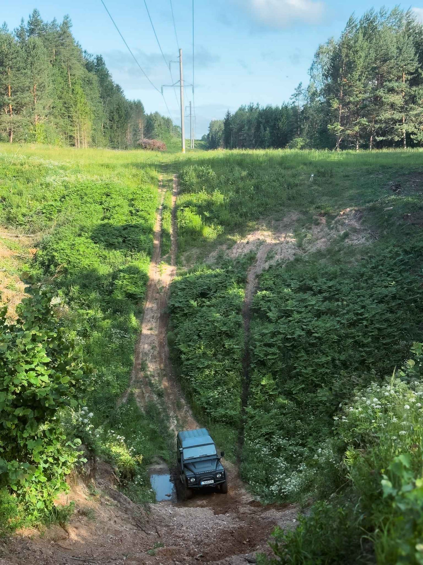 PRAŽŪTINGAS SKARDIS (6km)