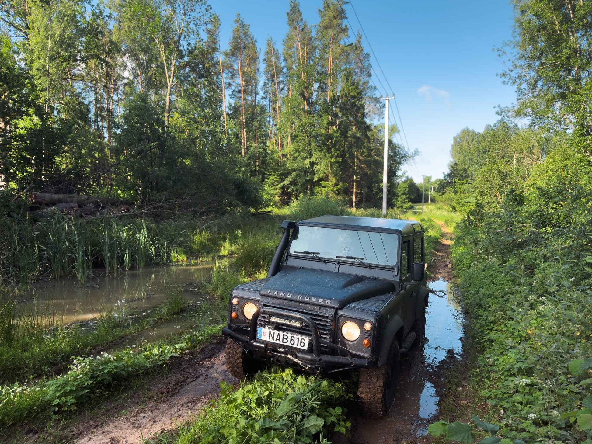 PRAŽŪTINGAS SKARDIS (6km)