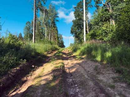 PRAŽŪTINGAS SKARDIS (6km)