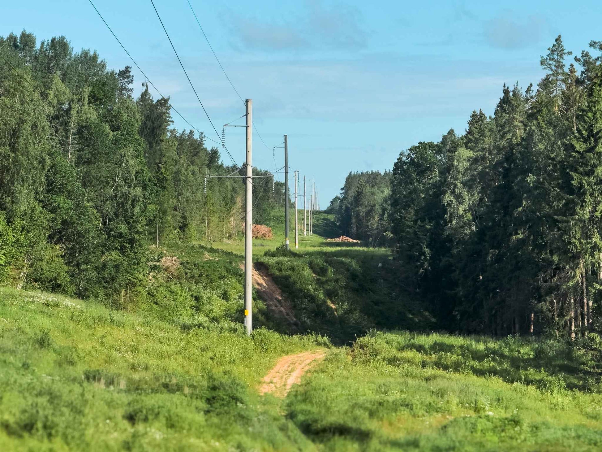 PRAŽŪTINGAS SKARDIS (6km)