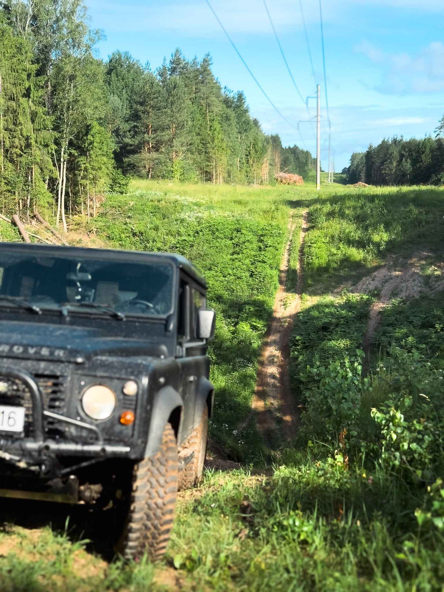 PRAŽŪTINGAS SKARDIS (6km)