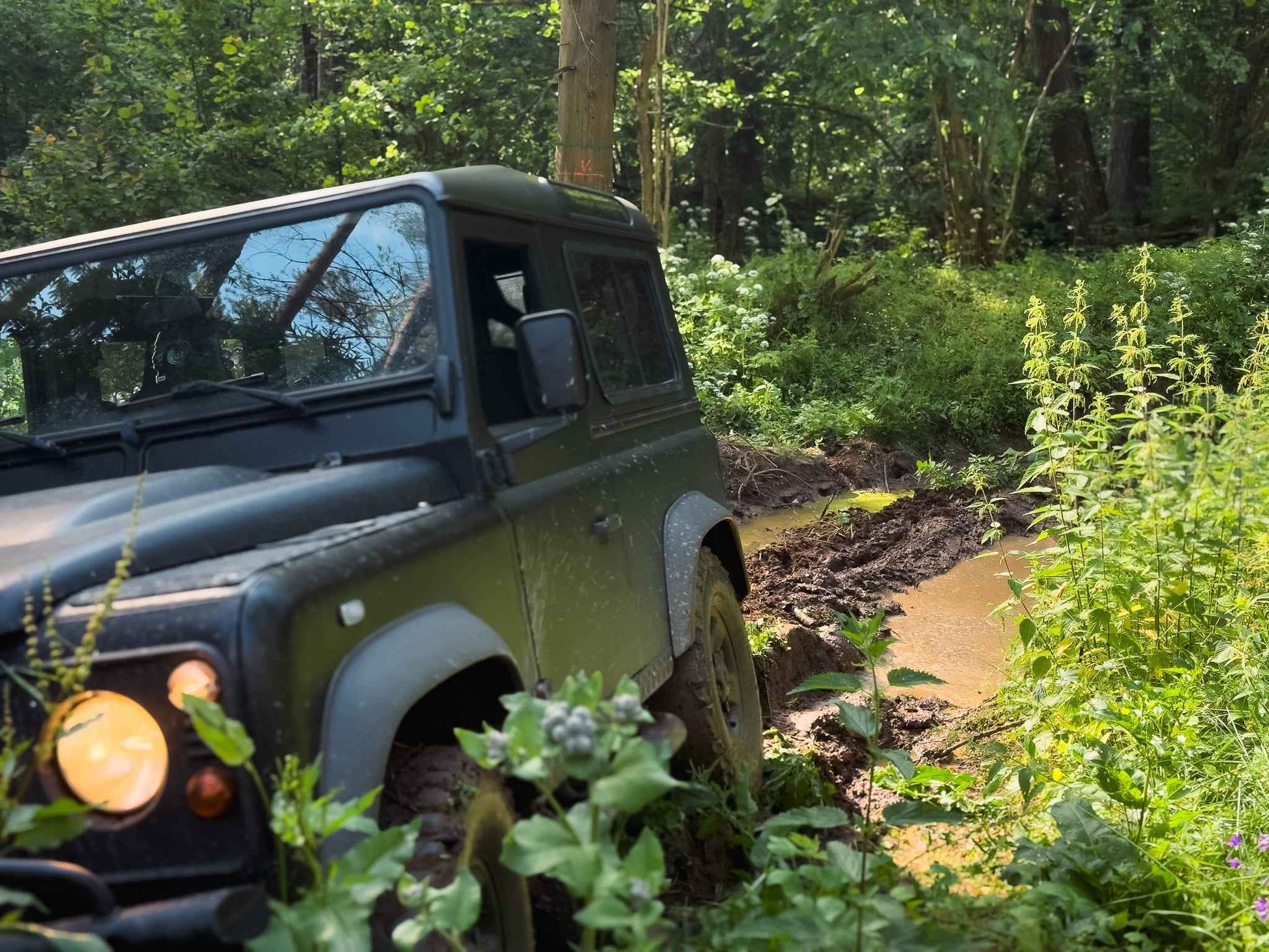 PRAŽŪTINGAS SKARDIS (6km)