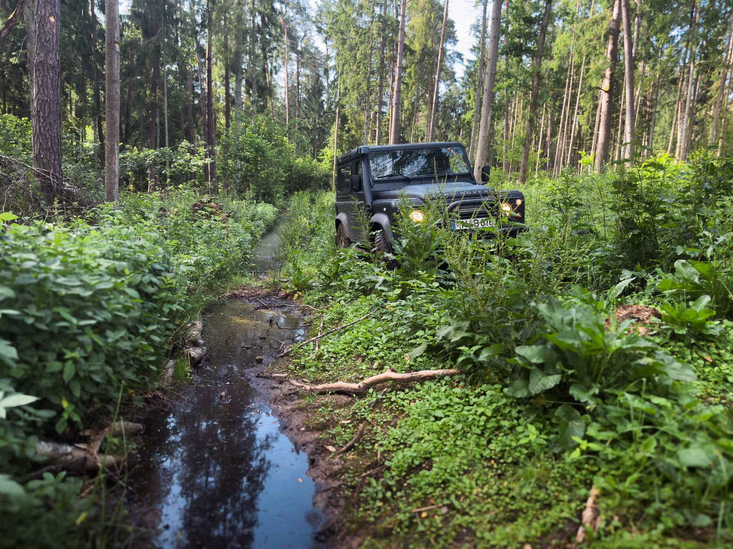 PRAŽŪTINGAS SKARDIS (6km)