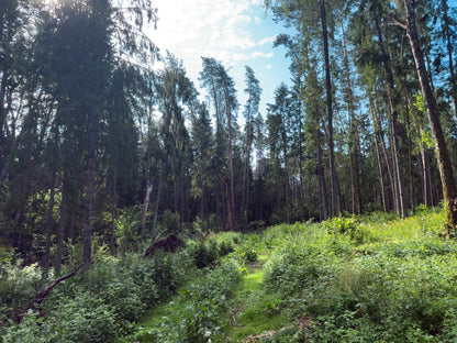 PRAŽŪTINGAS SKARDIS (6km)